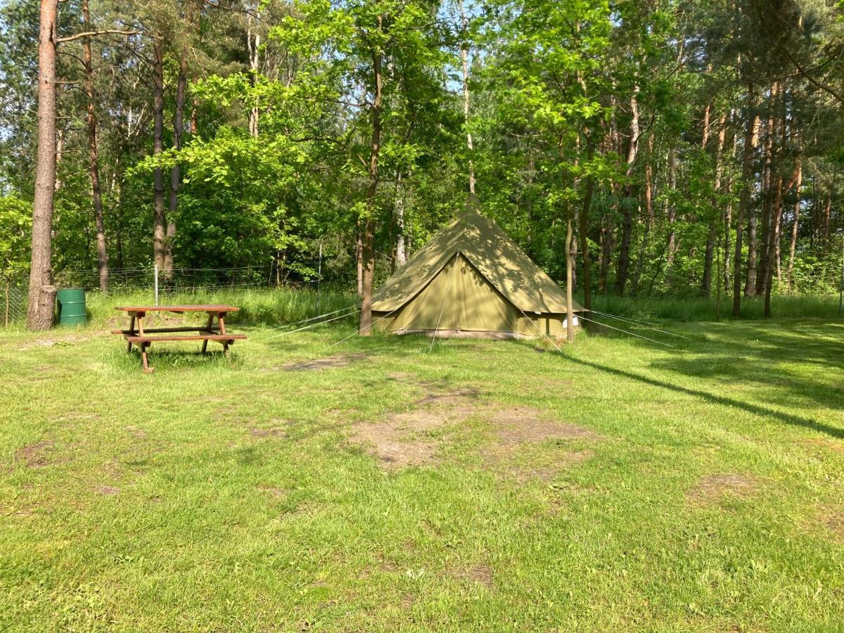 Lesne Zacisze-Pole Namiotowe Hotel Pisklaki Buitenkant foto